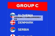 世界杯欧洲杯几个队伍参加,世界杯欧洲多少队伍